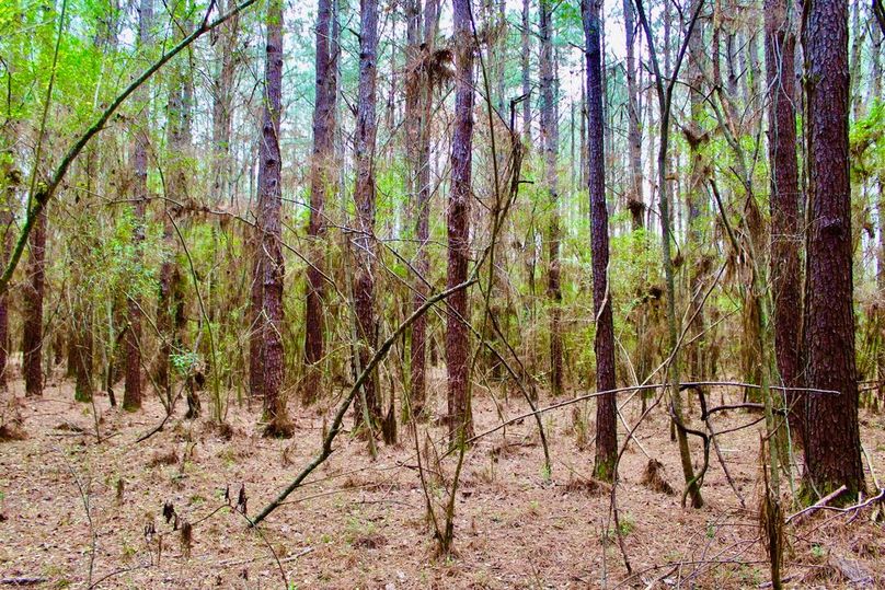 353665E7-F6CC-4DD3-8677-DC2848CCCD6A_1_105_c