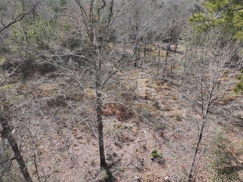 dji_fly_20260212_141210_0068_1771284239115_photo