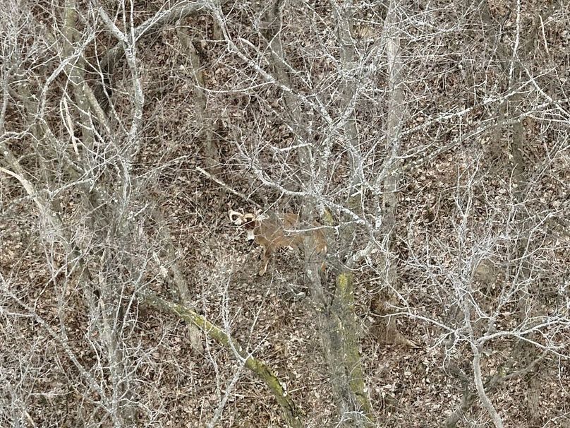 8E1661B3-1CAC-4EFD-959A-6C20D2AE455B_1_201_a