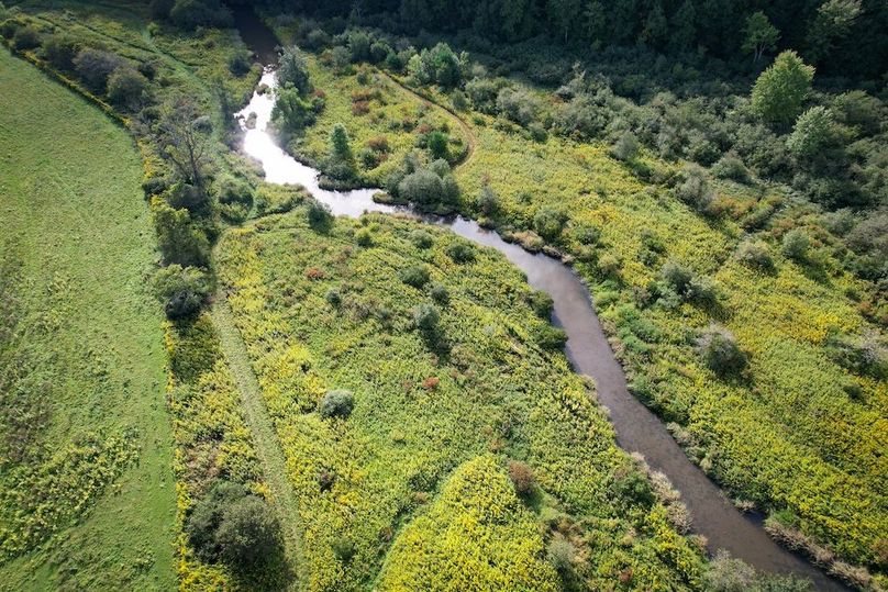 Tioga__NY_109.7_Burris_Photos_14