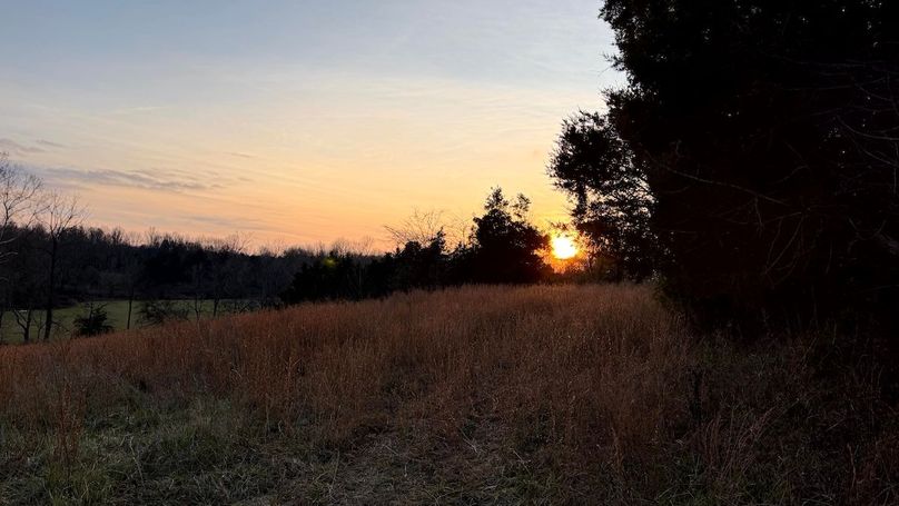 Grayson 48.195 Johnson9