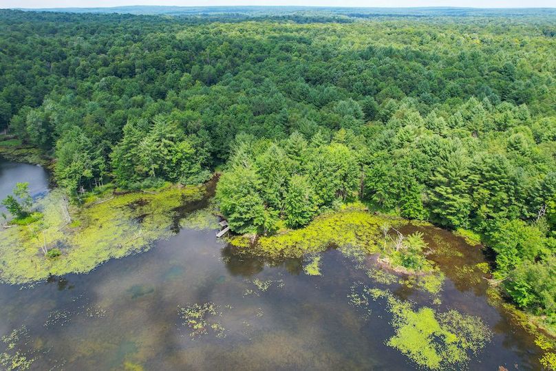 Oswego_20_Eck Photo 23