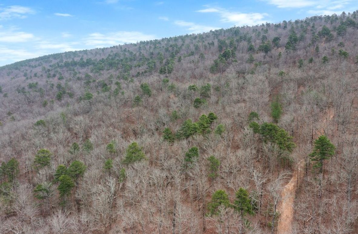 2-web-or-mls-DJI_0403