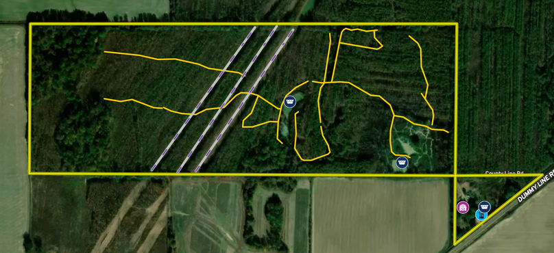 Panola126Neara 3.26.33 PM