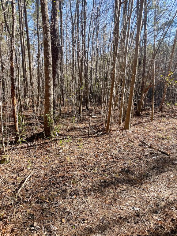 Pender NC 382 - Edits-58