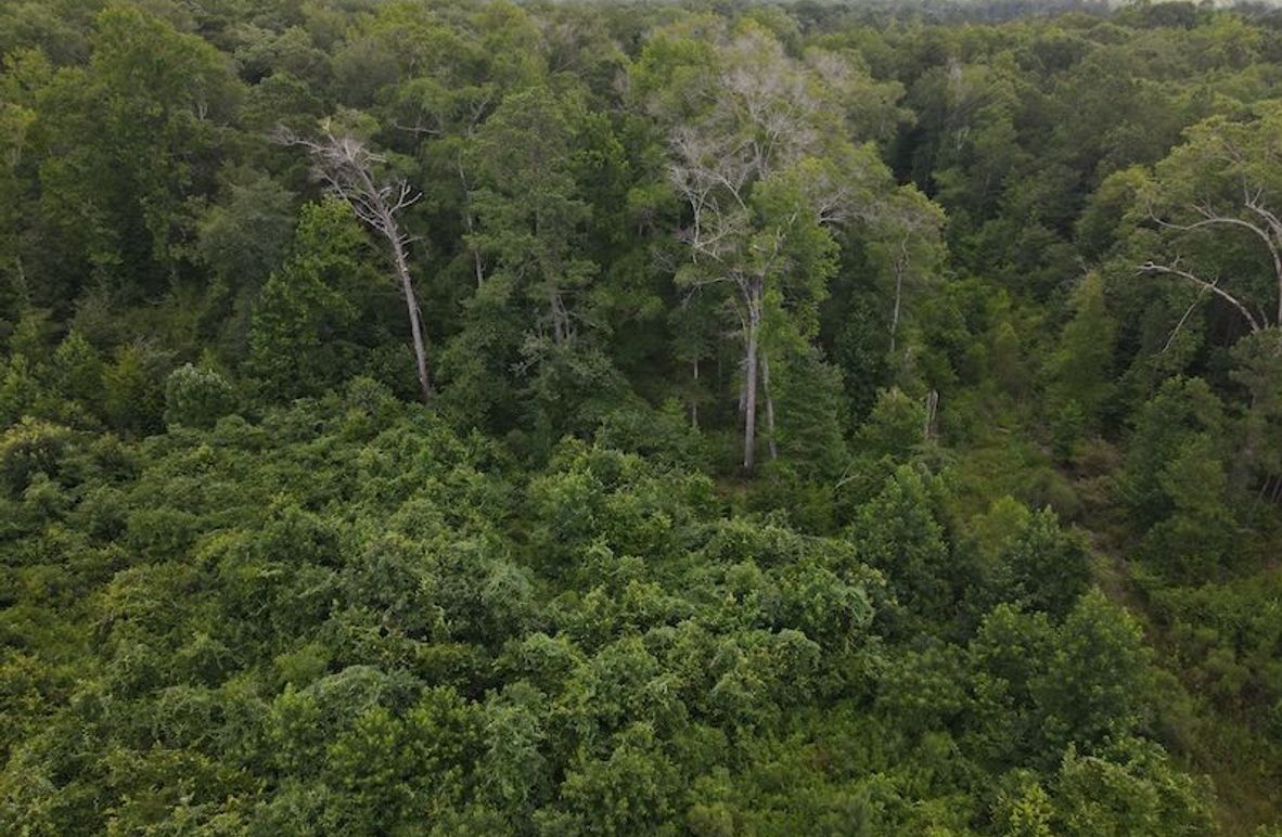 DJI_0570