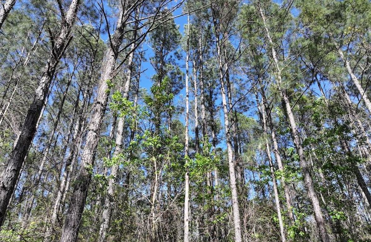 DJI_20260311122945_0526_D