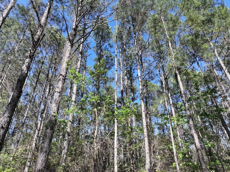 DJI_20260311122945_0526_D