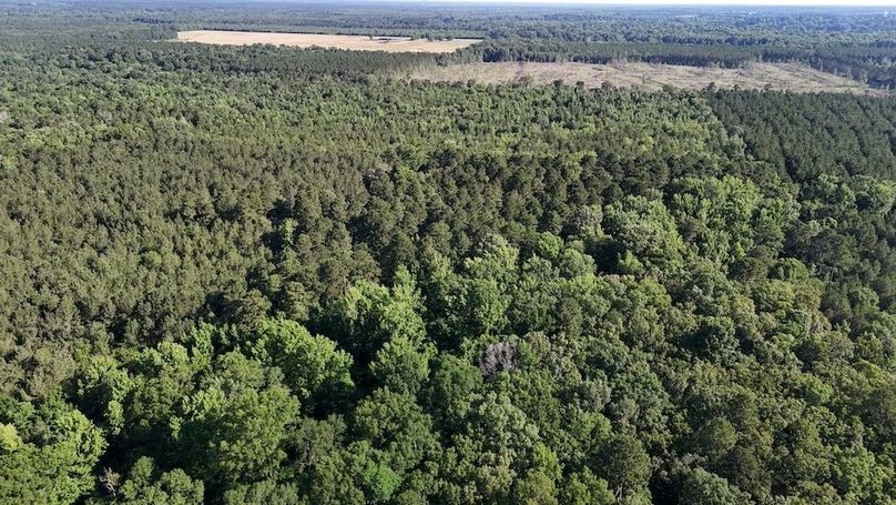 Copy of DJI_20250531220204_0580_D