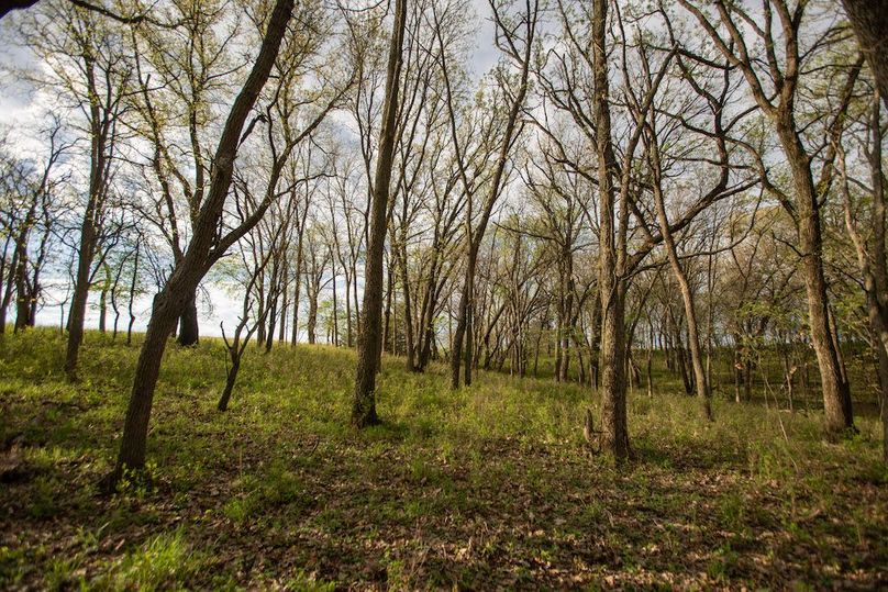 MONTGOMERY CO IA. 156.78_75