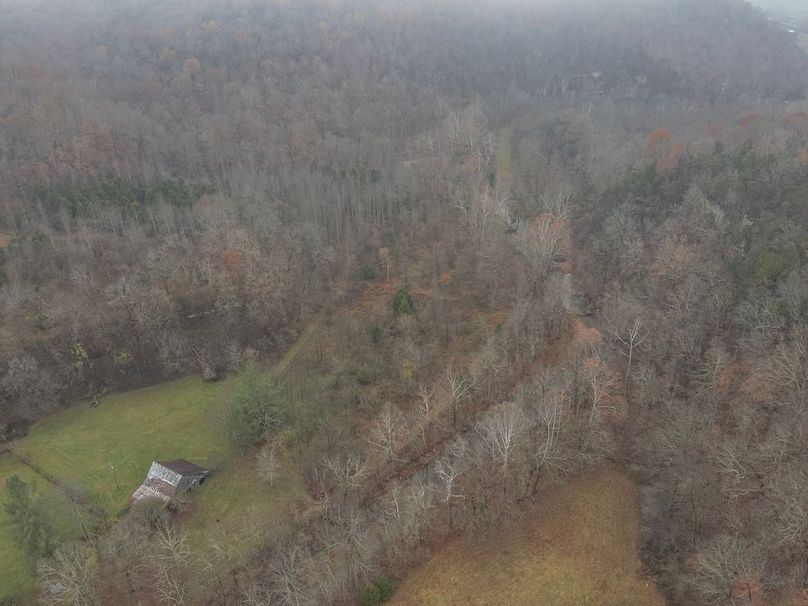 18-DJI_20251119122505_0010_W