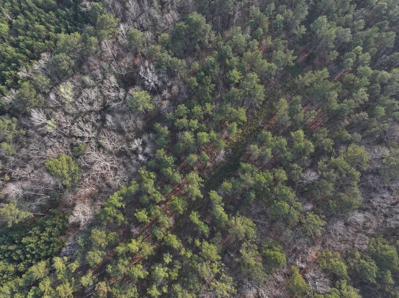 F049 - 117 Acres - Drone-5
