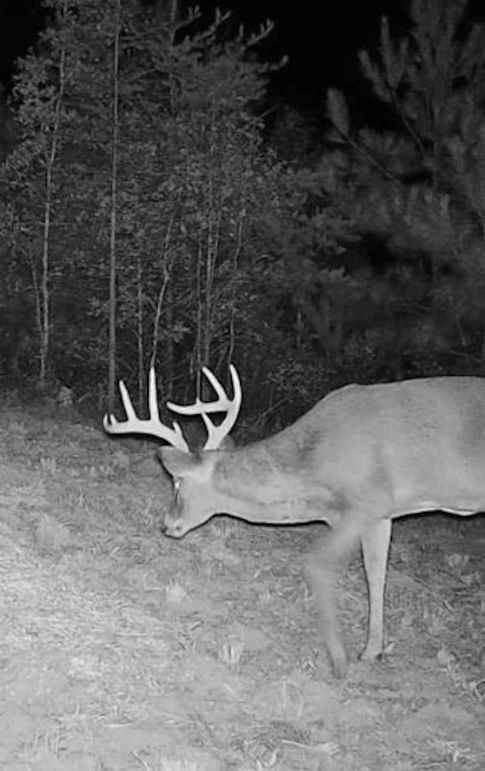 TwinStatesTrailCam26