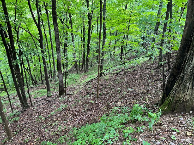 Wirt, WV 150.75 AC Tinnell-47