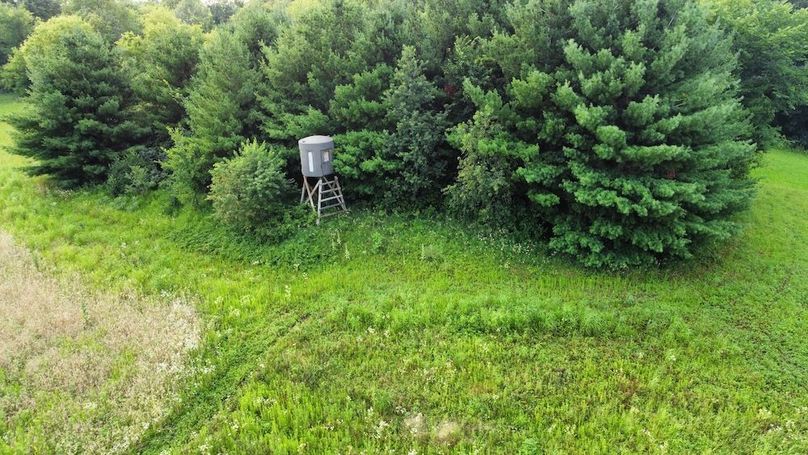 dji_fly_20240715_182650_699_1721086064283_photo_optimized