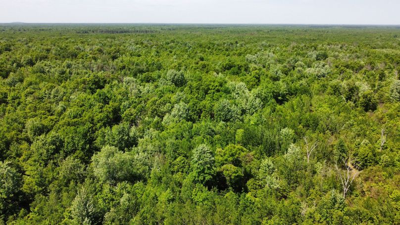 dji_fly_20230530_141834_538_1685474461145_photo_optimized 2