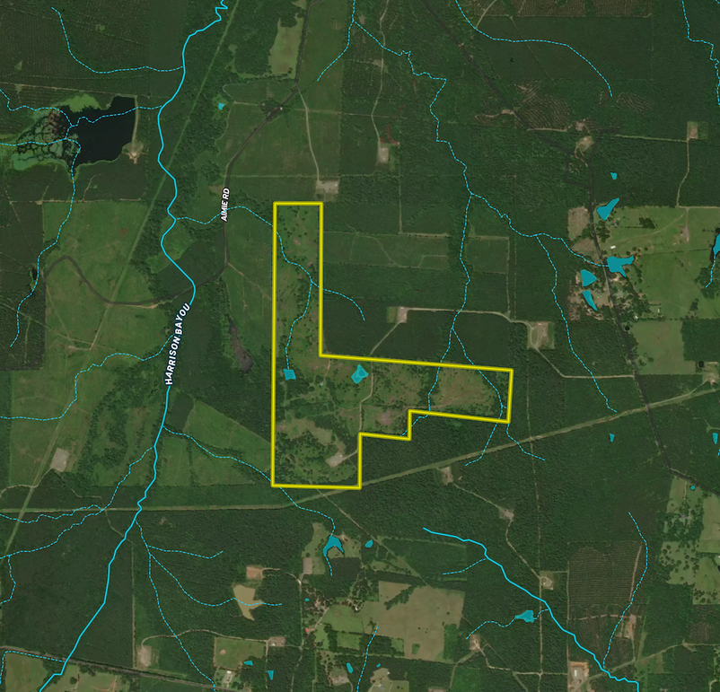 Screenshot 2025-10-11 at 11.09.06 AM