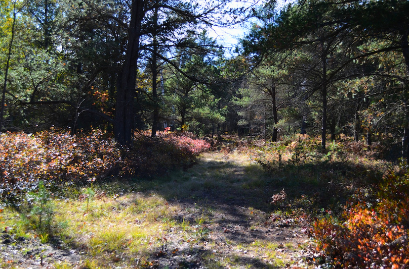 Screenshot 2025-11-14 at 11.14.24 AM