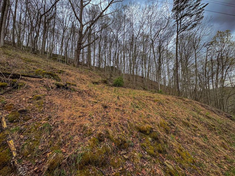 Wirt, WV 39.564 AC Full-08