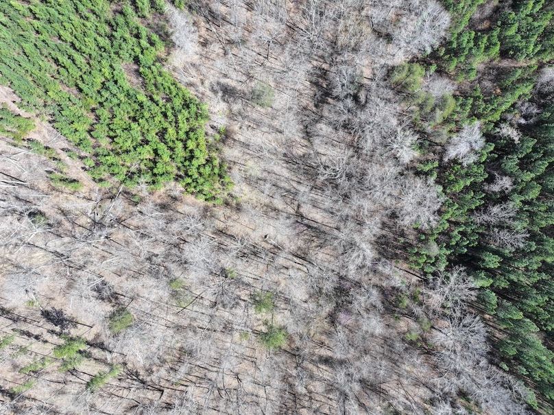 dji_fly_20260325_115232_0638_1774539310454_photo