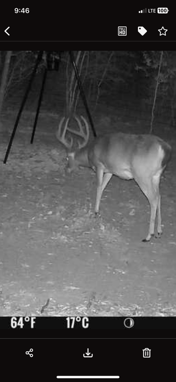 New Trail Cam 1