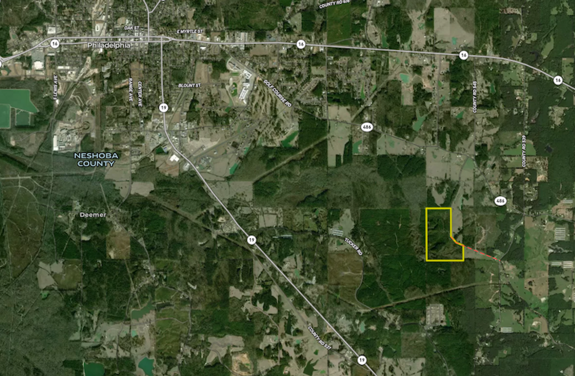 Screenshot 2026-02-18 at 11.23.21 AM