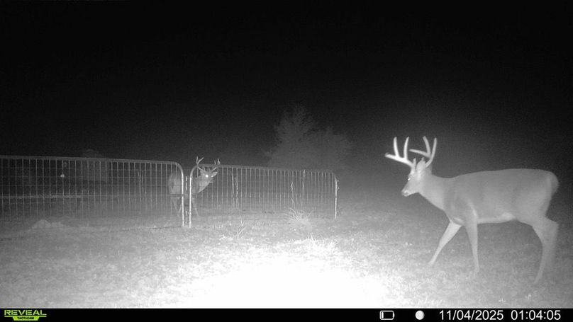 016579000474077-28-3-11042025010604-HD-SYFW00534