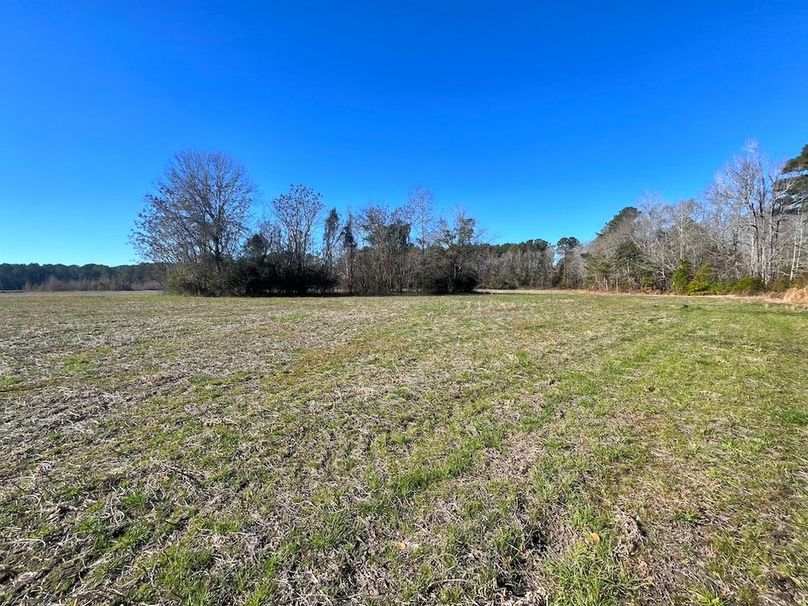 D08BE27C-F761-441D-AF00-2A6EFD1DE264