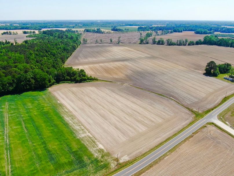 B3A85970EC38626535EE7E768C99BBE9