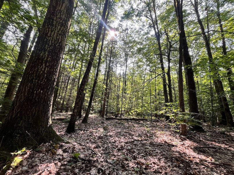 Oswego_22.46-Ross-French_Photos_22