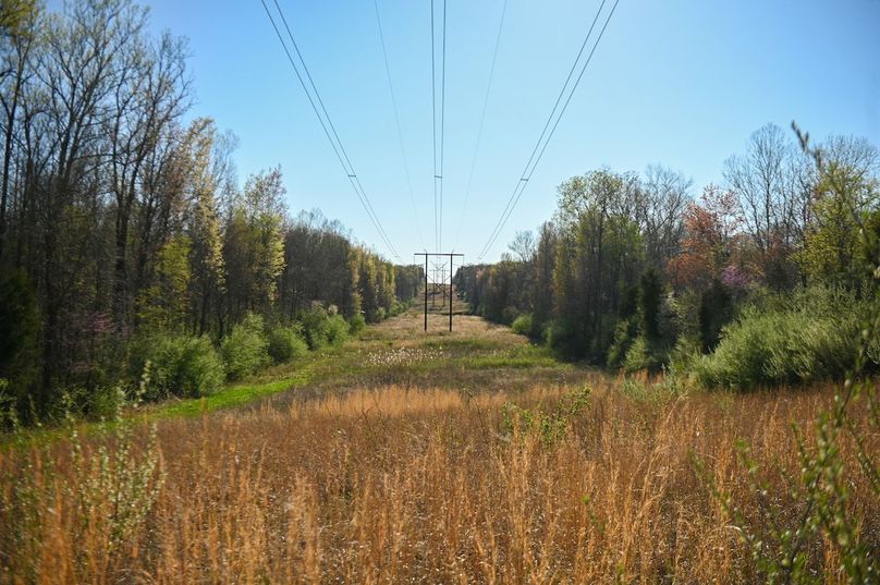 vandalia 450 (2)-2472