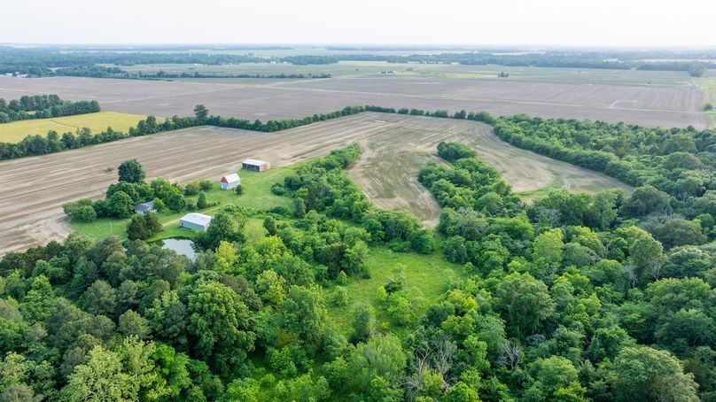 DJI_20250610061511_0048_D