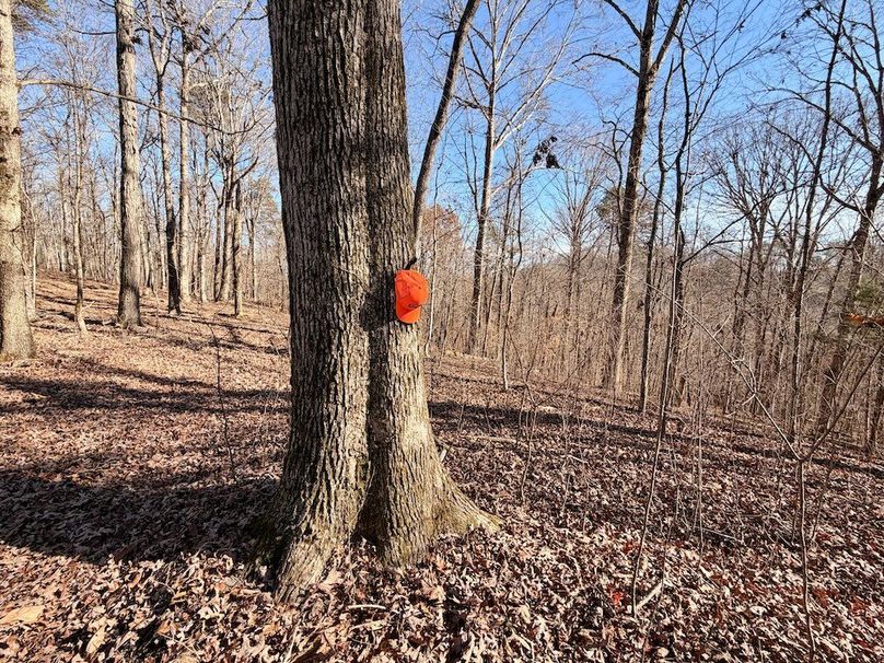 Roane Co TN 396 20251127_41