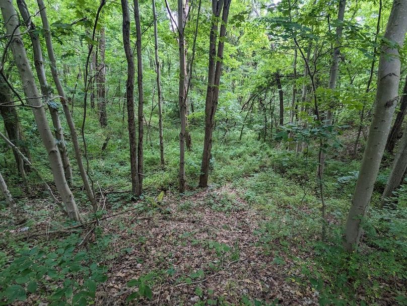 PXL_20240607_190613961