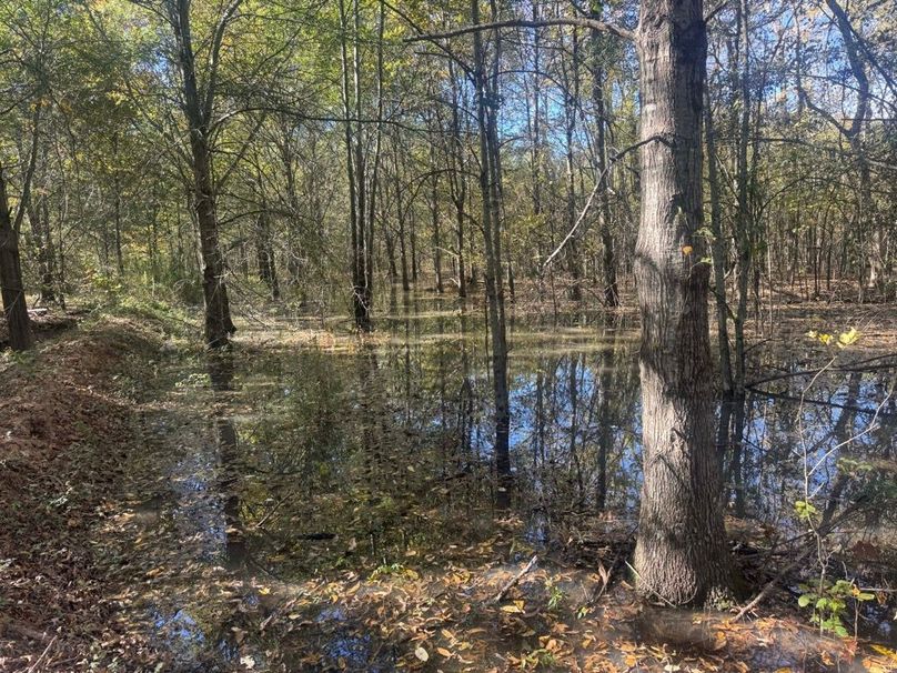 1a1 jeff 8320251111_0240