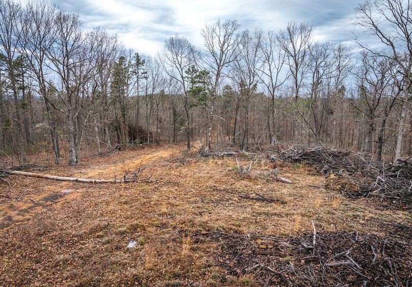 DJI_20250403135127_0600_D