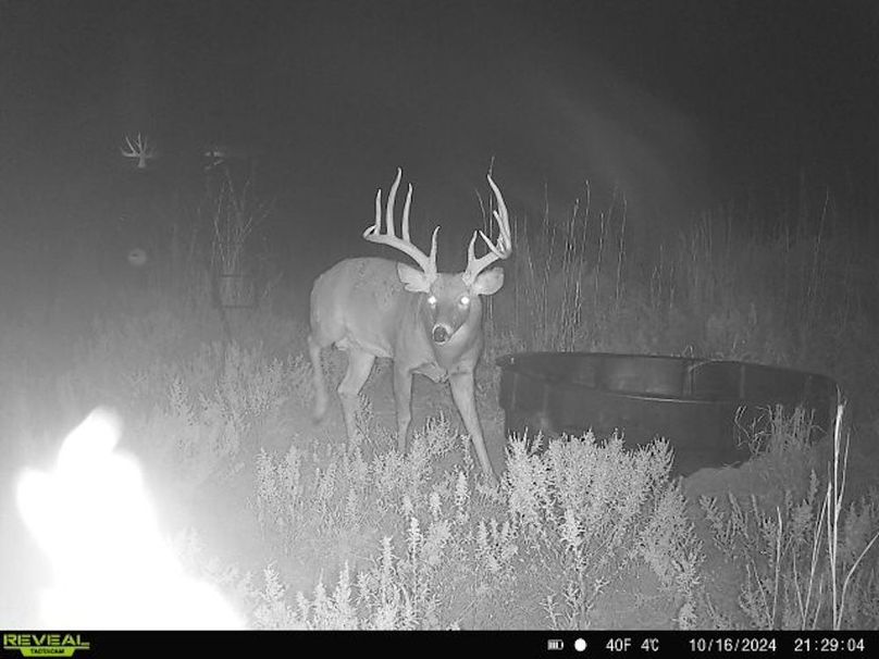 2.Copy of Copy of 864049057268551-60-3-10162024212904-W1029345