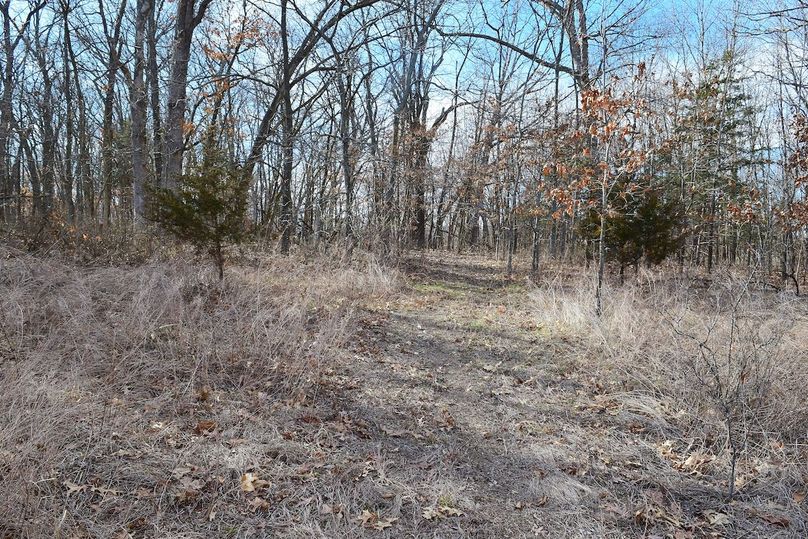 DSC_0322_inPixio (2)