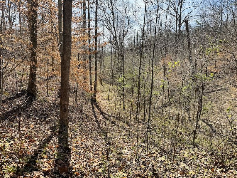 032 nice view near the head of the spring 