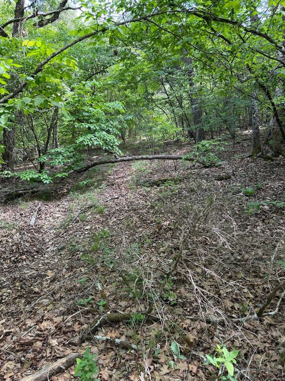IMG_1571