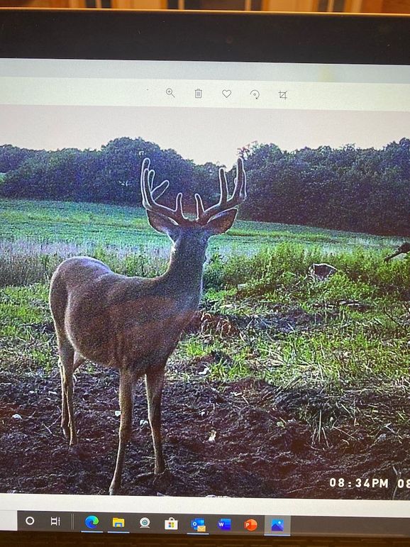 61888838334__7CC561A3-946D-4549-B916-87A377949E15