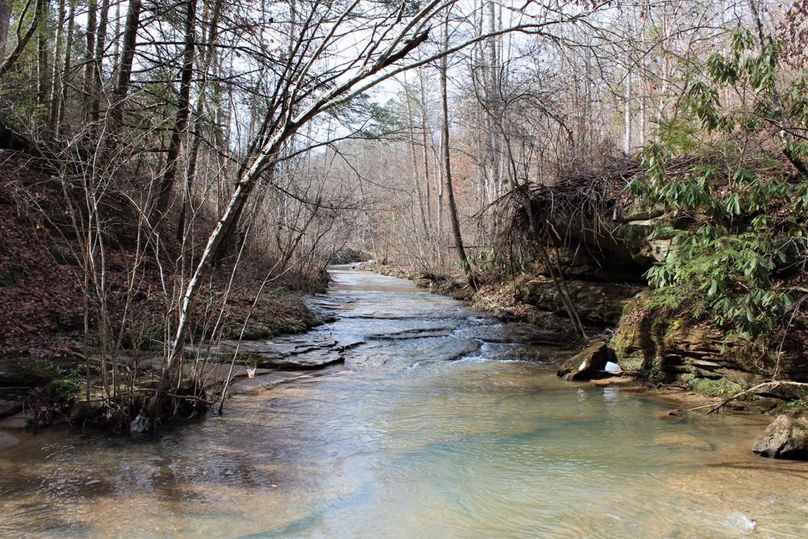 022 Lacy Creek flowing west to east along the south boundary