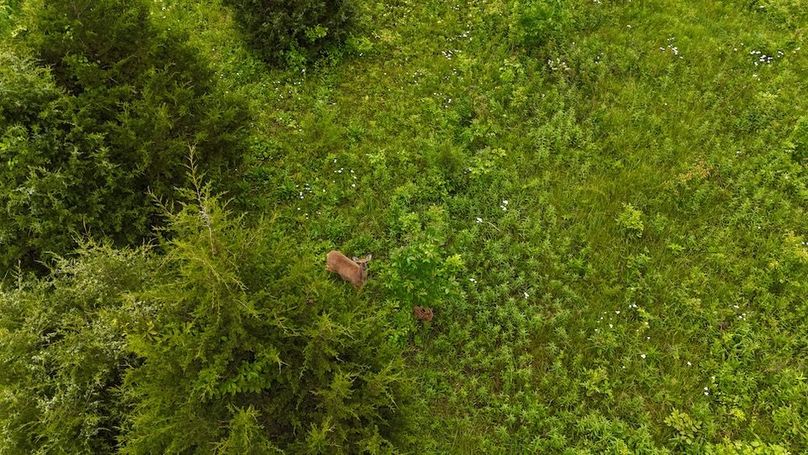 DJI_20250605132318_0661_D