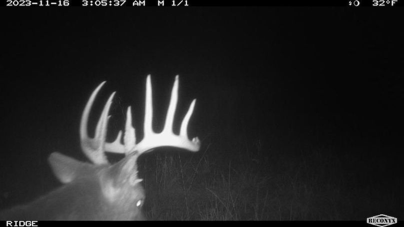 2023-11-16 03-05-37 M 1_1