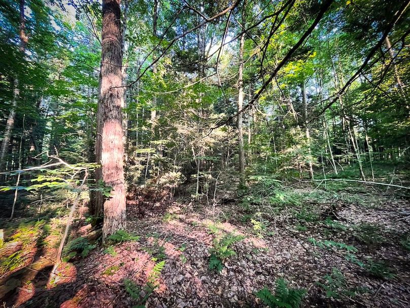 Oswego_25.66_Pettit_Photos_29