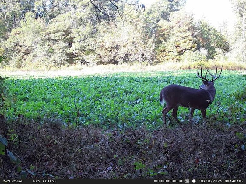 865509054405067_10102025084016-E1000642