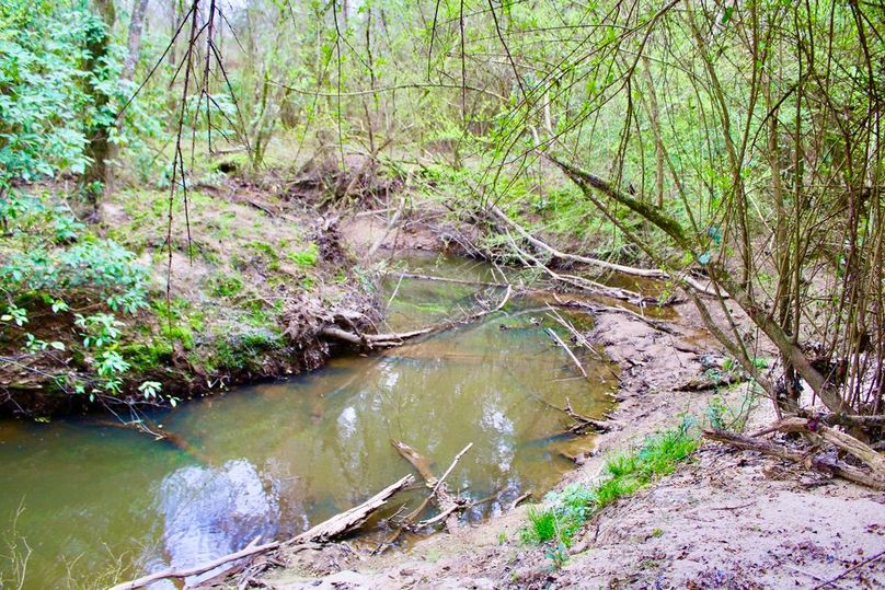 24C3ACA7-2FA0-4381-BC5A-AFC7C976CEF2_1_105_c