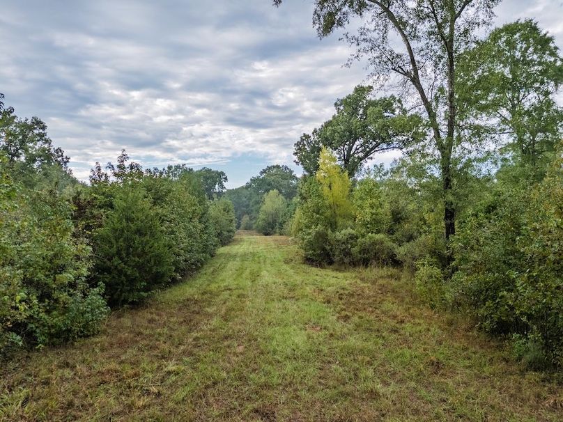 15 Edited Harison co. 206 - Ed Robb-093