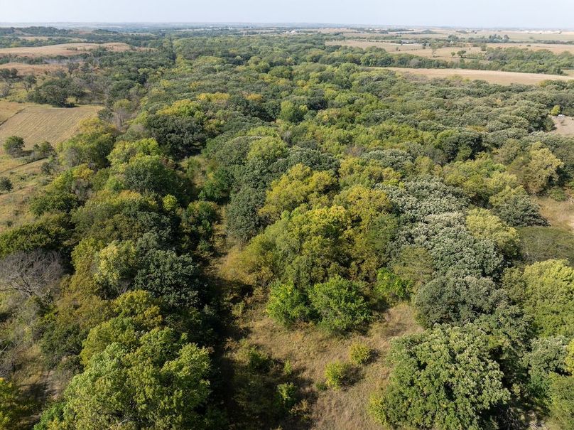 20240913-DJI_20240913105324_0114_D