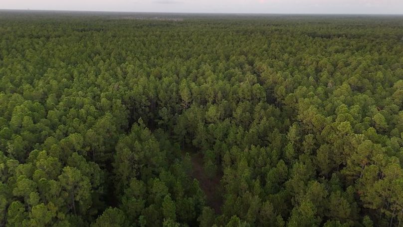 DJI_20251007191933_0037_D